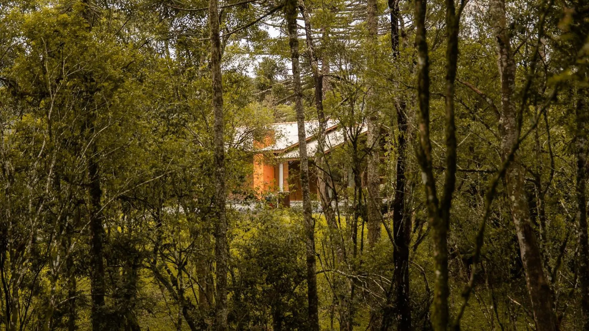Cabana Com Hidromassagem Bom Retiro  0*, Bom Retiro (Santa Catarina) Brazil