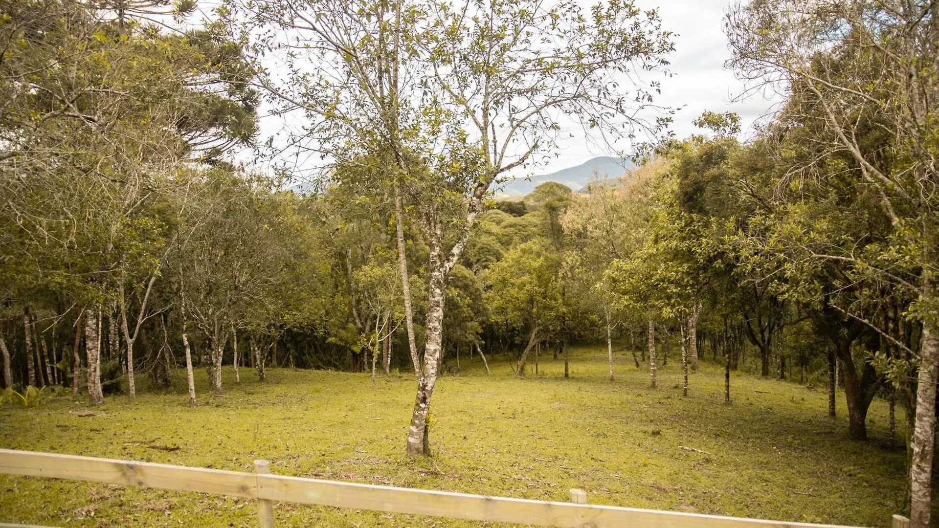 Cabana Com Hidromassagem Bom Retiro  Holiday home Bom Retiro (Santa Catarina)